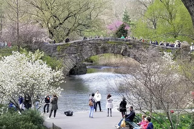 The Gapstow Bridge Was Showcased In The Movie "Home Alone 2, Lost In New York", Amongst Others